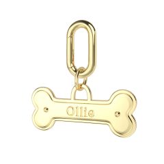 Personalised Bone Brass Pet Name Tag